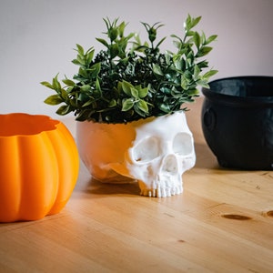 May include: Three Halloween-themed planters: a white skull planter with a green plant, an orange pumpkin planter, and a black cauldron planter.
