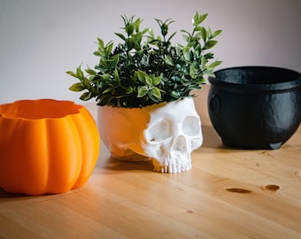 Halloween Planter Pots, Set of Three, with Drainage Holes, Skull, Pumpkin, and Cauldron