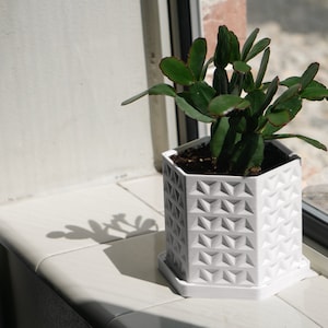 May include: A white geometric planter with a succulent plant. The planter has a hexagonal shape and a textured surface.