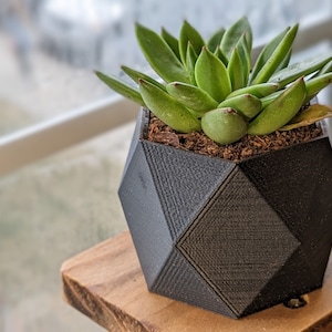 Könnte beinhalten: Eine Sukkulente in einem schwarzen geometrischen Topf. Der Topf hat eine strukturierte Oberfläche und ist aus 3D-gedrucktem Material.