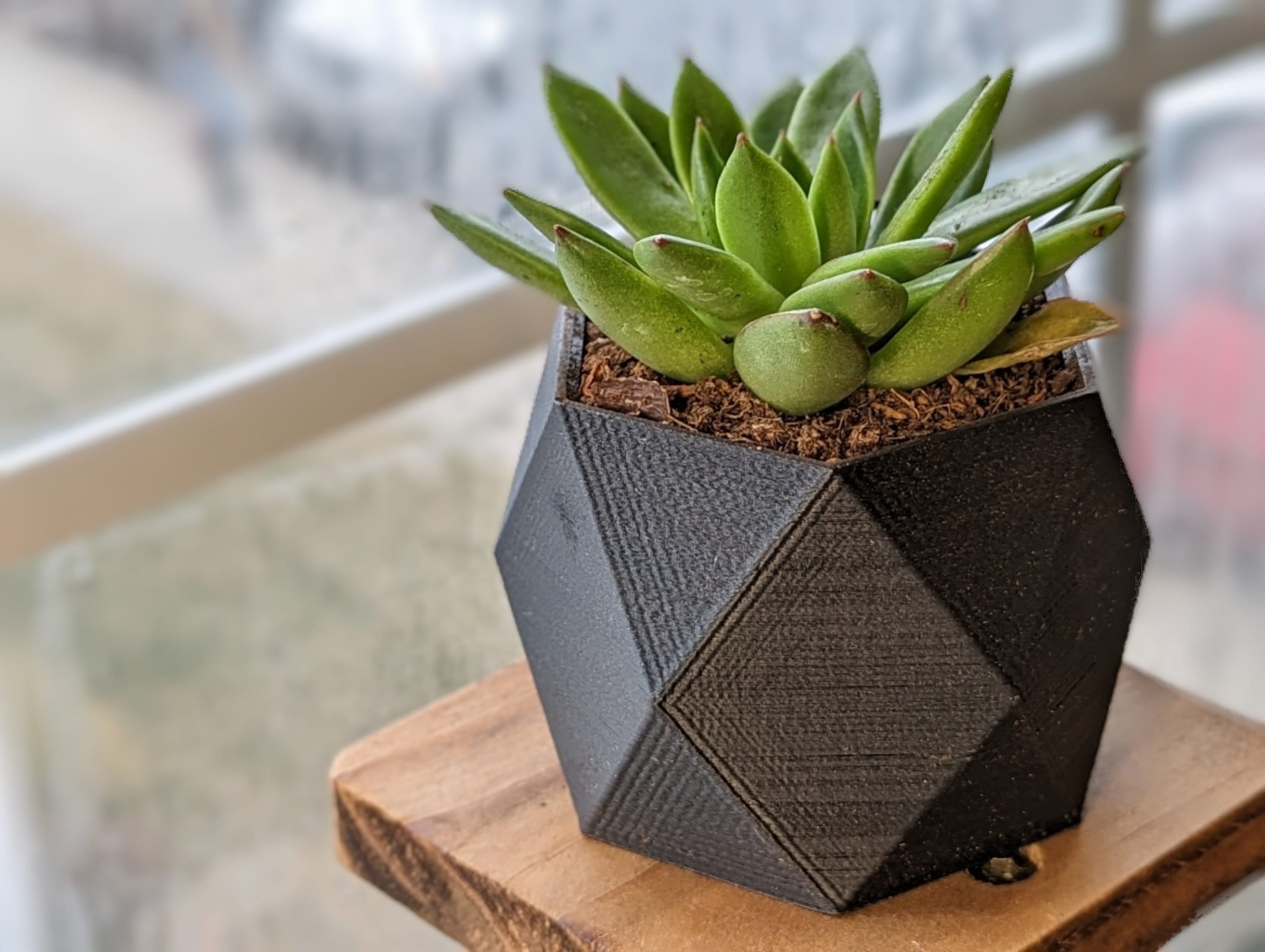 Geometric Succulent Planter, With Drainage Hole - Etsy