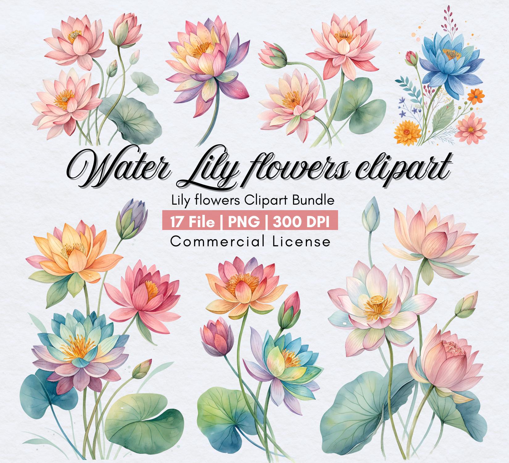 Watercolor Water Lily Clipart, Floral Clipart Bundle, Water Lilies ...