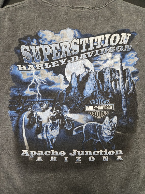 Vintage 2007 Harley Davidson Sweatshirt Apache Ju… - image 7
