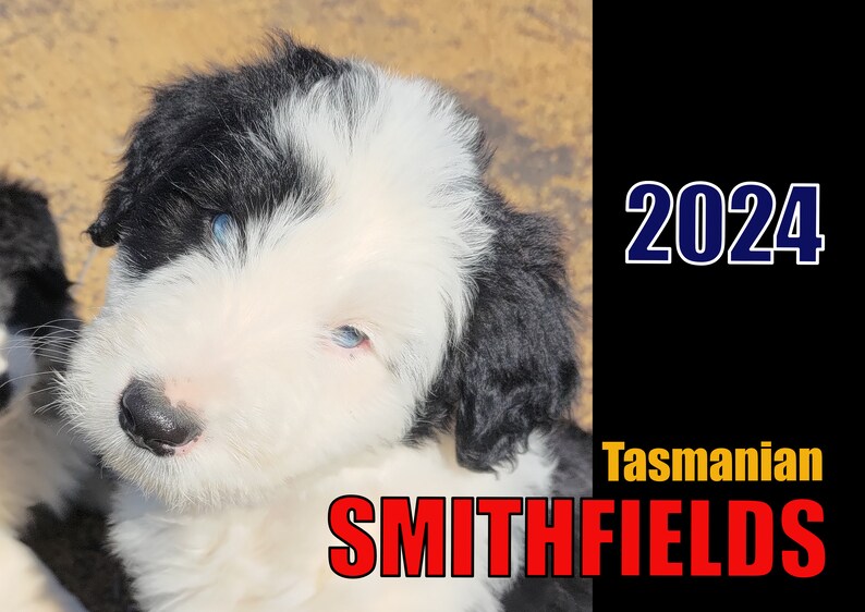 Smithfield Calendar 2024 Etsy
