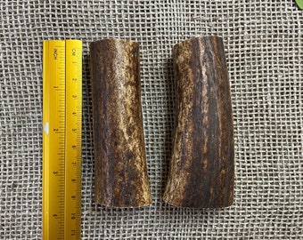 2 Wild Deer Antler Pieces, Ethically Sourced Craft Supplies