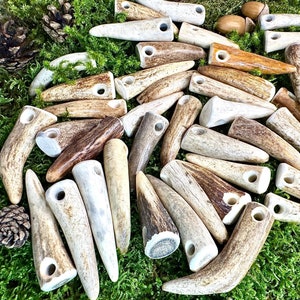 May include: A collection of natural antler pendants, each with a hole drilled through. The antler pieces are various shades of brown and white, and some have a natural polish.