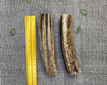 Shed Antler Crafting Set: Raw Elk/Deer Antler Pieces, Natural DIY Supplies