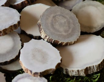 Moose Antler Slices, Real Antler Supplies for Jewelry, DIY Crafts