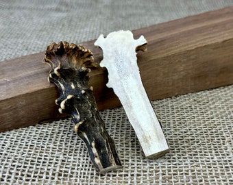 Split Roe Deer Antler: Crafting, Engraving, Jewelry Making Supply (3.54 inches)