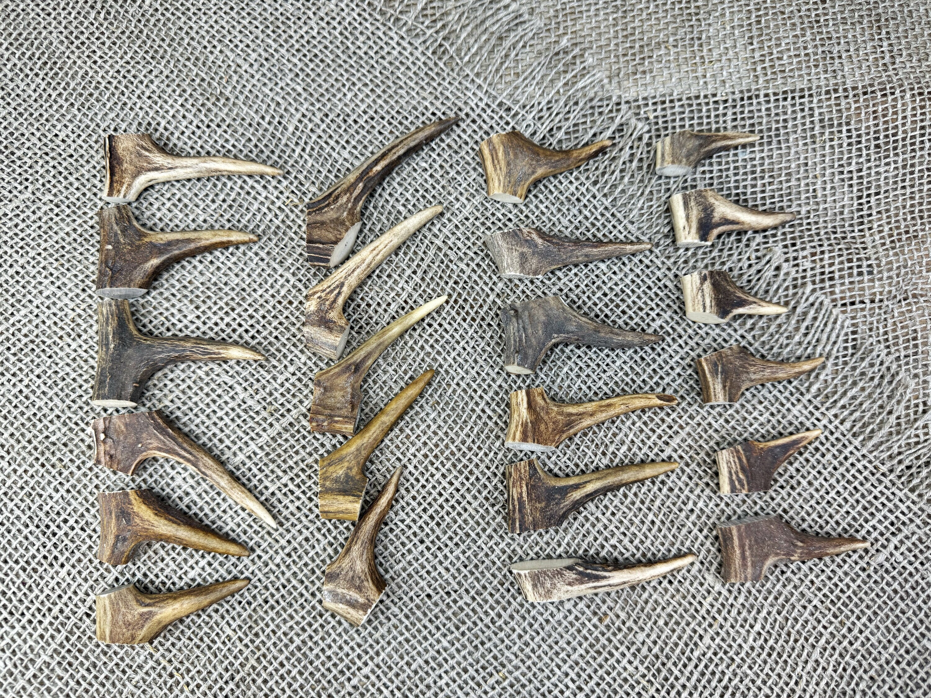 23 Real Roe Deer Antler Tips, Ancient Jewelry Making, Pagan Shaman ...