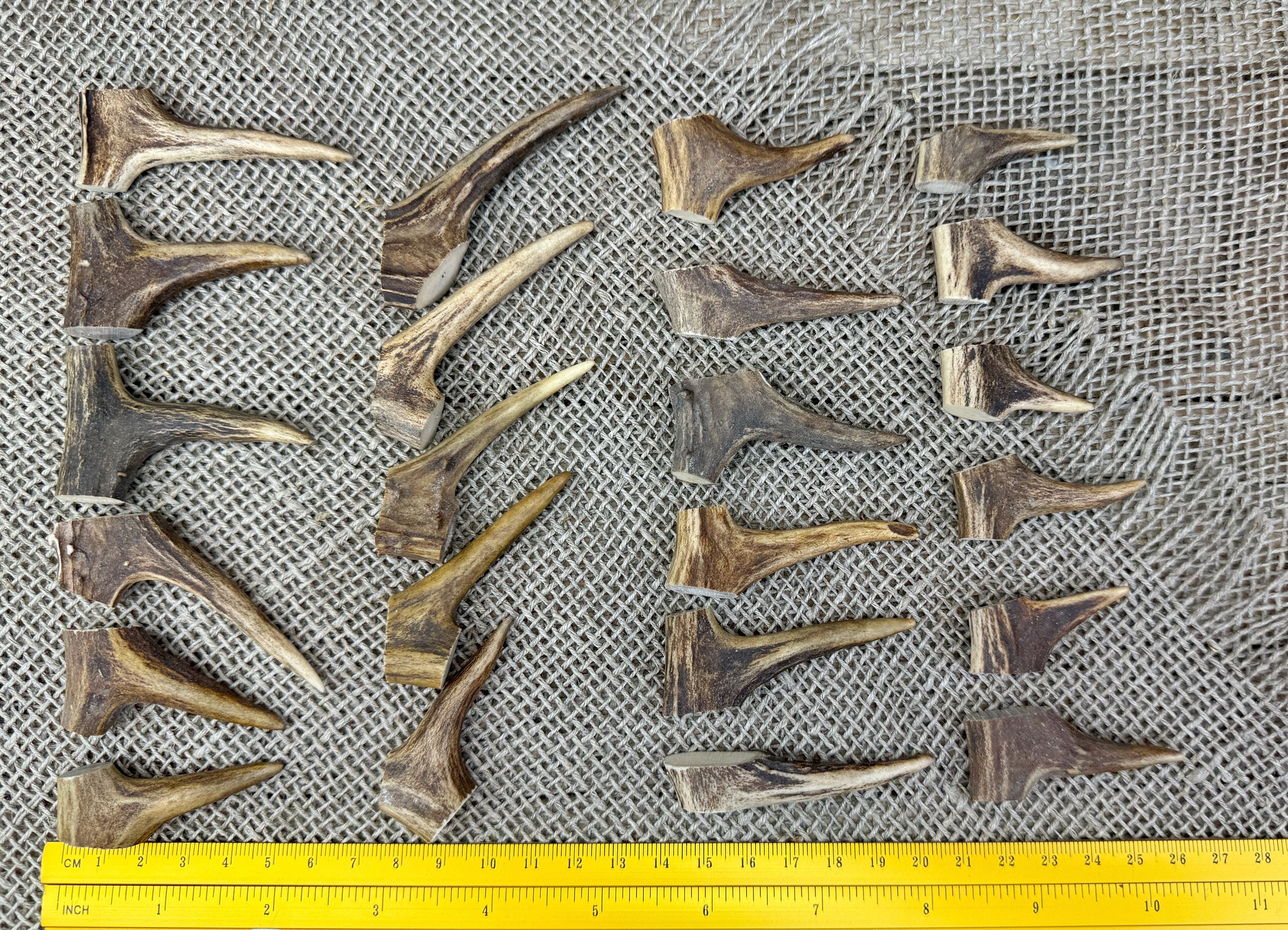 23 Real Roe Deer Antler Tips, Ancient Jewelry Making, Pagan Shaman ...
