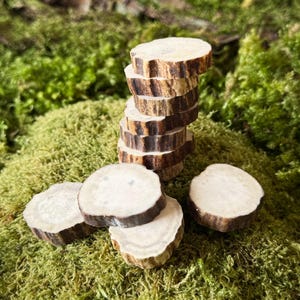 Rebanadas de asta de alce de 3 cm (1,18 pulgadas), suministros para colgantes de asta DIY, asta cortada para creadores de joyas, fichas de asta sin pulir para manualidades