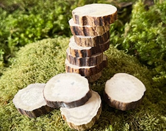 Moose Antler Slices, DIY Jewelry Pendants, Crafting Supplies