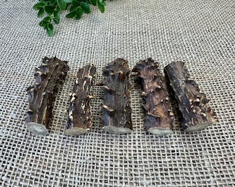 Roe Deer Antler Pieces for Crafting, 5 Antler Supplies (6cm)