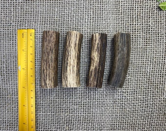Red Deer Antler Slices, Crafting Supplies, 7cm Engraving Pieces