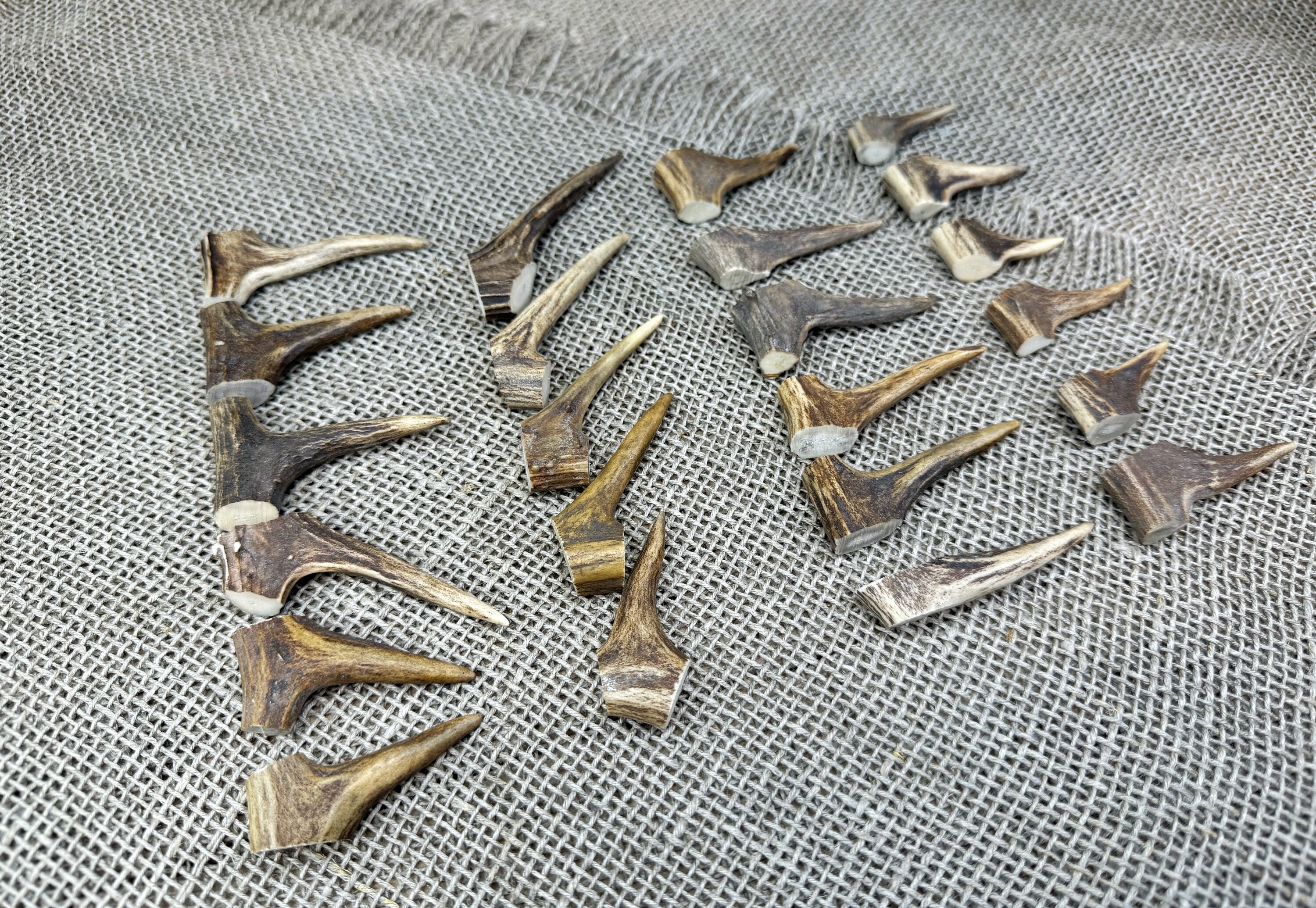 23 Real Roe Deer Antler Tips, Ancient Jewelry Making, Pagan Shaman ...