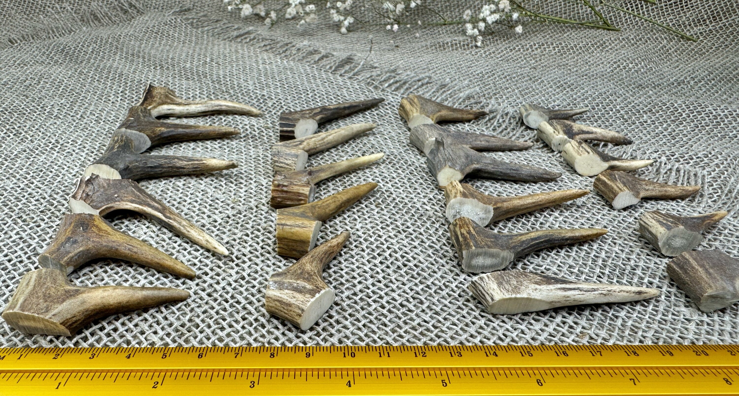23 Real Roe Deer Antler Tips, Ancient Jewelry Making, Pagan Shaman ...