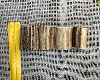 Set of 4 Deer Antler Slices for Crafting, Engraving