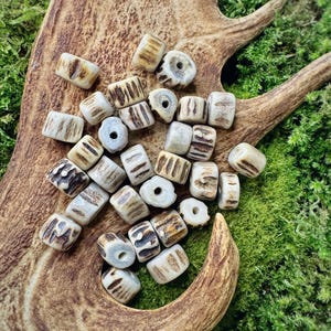 May include: A collection of natural bone beads, with a light brown and white colour, arranged on a piece of antler. The beads are round and have a hole in the centre.