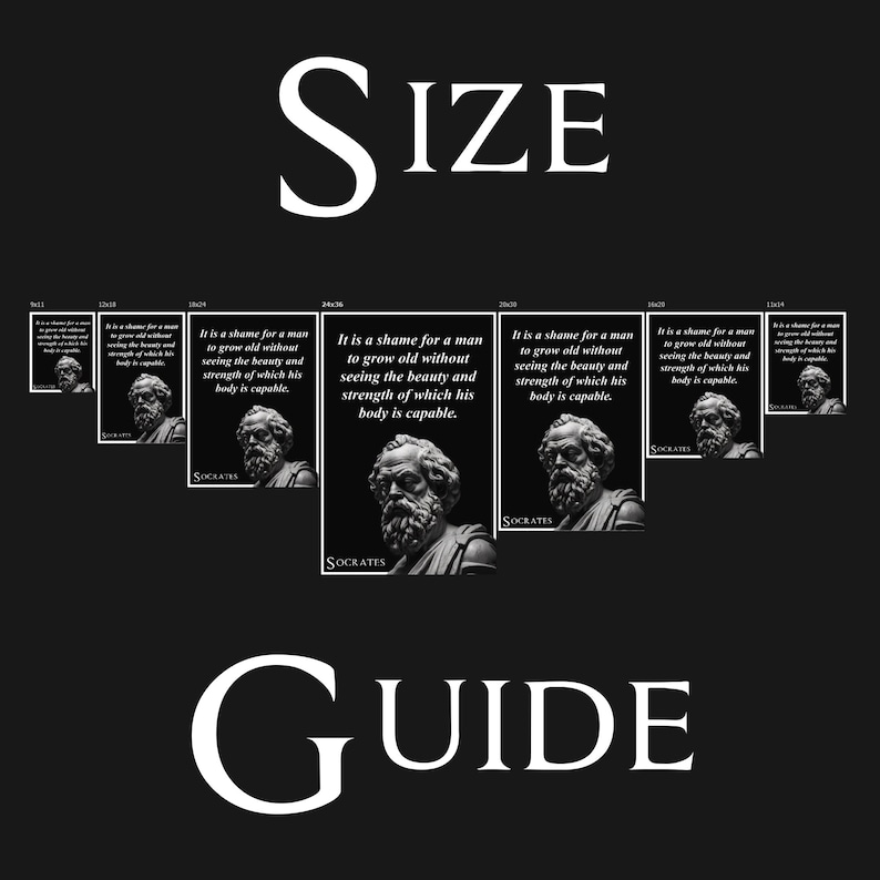 Socrates Poster it is a Shame for a Man to Grow Old Without Seeing the Beauty and Strength of