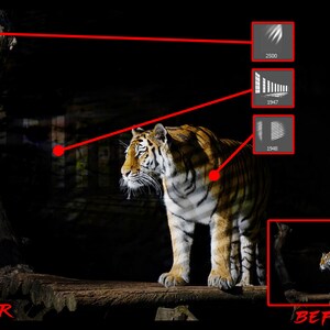 200+ Procreate Photoshop Light Effect Brushes, Sunlight Rays, Halo Glow (Digital Download) image 2