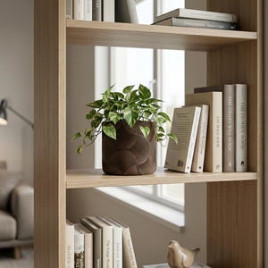 Könnte beinhalten: Ein Bücherregal aus Holz mit einer Zimmerpflanze in einem braunen Ziertopf. Der Topf hat ein kreisförmiges Muster. Auf den Regalen stehen mehrere Bücher, mit einer kleinen Vogelfigur auf dem untersten Regal. Das Bücherregal steht in einem Raum mit einem Fenster.