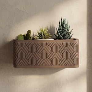 Può includere: Una fioriera rettangolare marrone con un motivo geometrico, contenente tre diversi tipi di piante grasse. La fioriera è montata su una parete di colore chiaro. Le piante grasse includono un cactus, una pianta verde spinosa e una pianta verde e bianca a strisce.