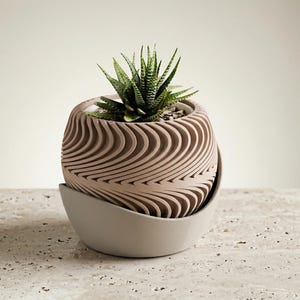 May include: A decorative, beige-colored planter with a unique, wave-like design, holding a small succulent plant. The planter sits in a matching, curved base. The plant has green, pointed leaves. The overall design is modern and minimalist.