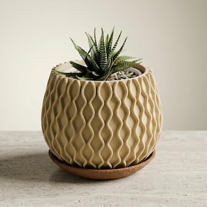 May include: A beige, patterned ceramic planter with a small succulent plant. The planter has a wavy, textured design and sits on a matching saucer. The succulent has green, pointed leaves. The pot is approximately 6 inches tall.