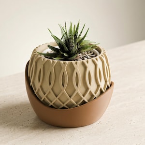 Könnte beinhalten: Eine kleine Sukkulentenpflanze in einem beigefarbenen, gemusterten Keramiktopf, der in einer passenden Untertasse steht. Der Topf hat ein geometrisches Design. Die Pflanze hat grüne, spitze Blätter. Topf und Untertasse stehen auf einer hellen Oberfläche.