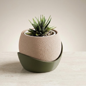 Könnte beinhalten: Eine kleine Sukkulentenpflanze in einem strukturierten, beigefarbenen, kugelförmigen Topf. Der Topf steht in einem dunkelgrünen, gebogenen Halter. Die Pflanze hat grün-weiß gestreifte Blätter und ist von kleinen Kieselsteinen umgeben.