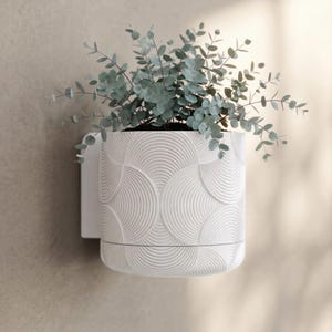 Op de afbeelding: Een witte, aan de muur gemonteerde plantenbak met een textuur, halfrond patroon, met een groene, bladrijke plant. De plantenbak heeft een ingebouwd waterreservoir en is bevestigd aan een witte montagebeugel. De plant heeft kleine, ronde bladeren.