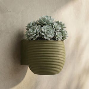 Op de afbeelding: Een olijfgroene, aan de muur gemonteerde plantenbak met een geribbeld ontwerp, gevuld met lichtgroene vetplanten. De plantenbak is bevestigd aan een neutrale muur, wat een minimalistische uitstraling creëert. De vetplanten voegen een vleugje natuur toe.