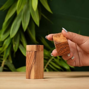 Duo of Cubic Salt and Pepper Shakers in Olive Wood