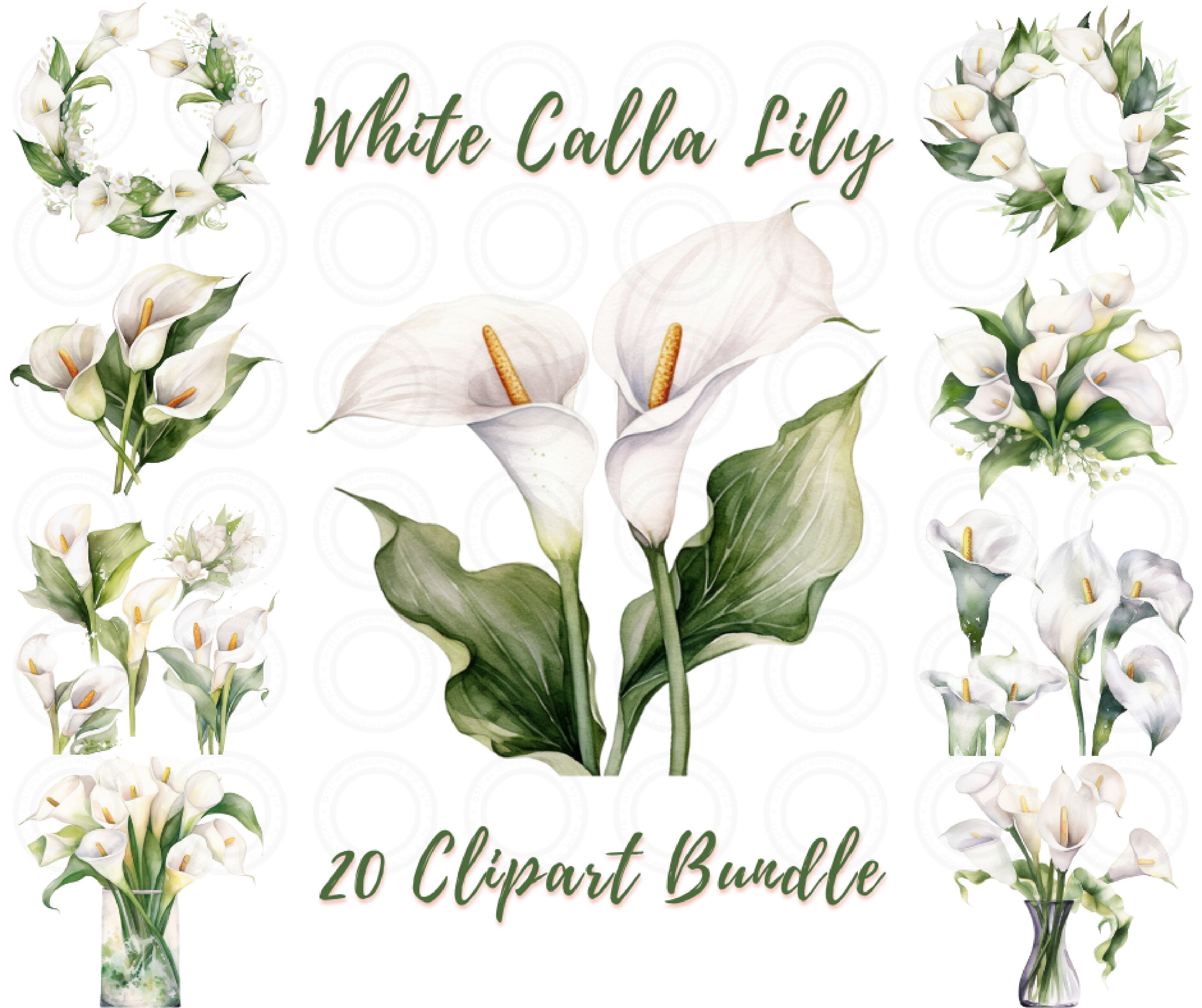 watercolor-calla-lily-clipart-white-flower-lily-png-format-etsy