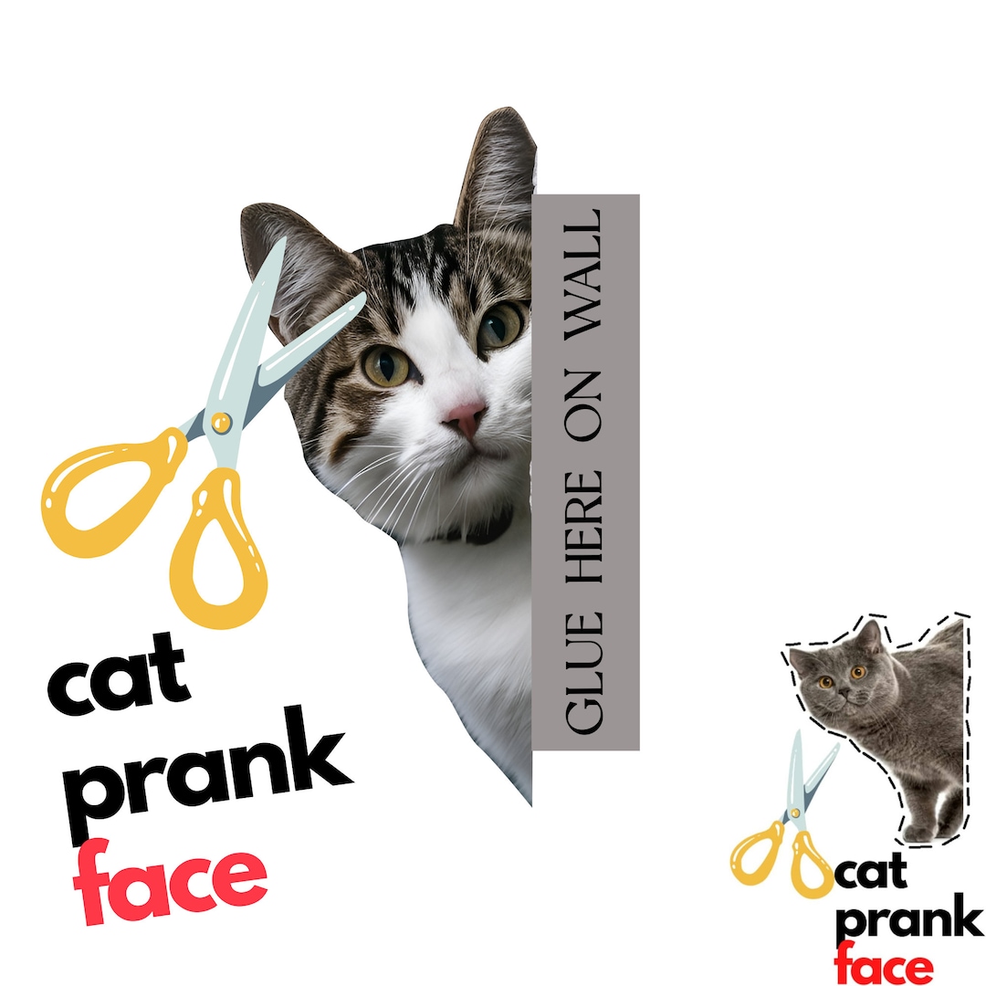 Printable Cat Prank Paper // Prank // Sticker // Cat Prank Face Etsy