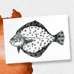 Carte postale Poisson – Turbot