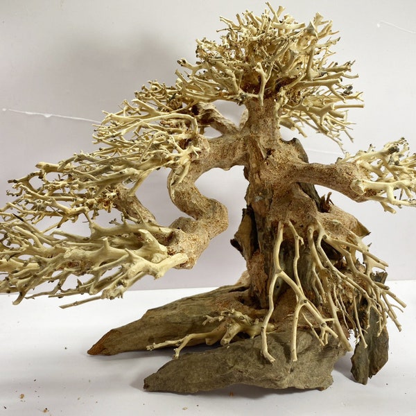 Aquarium Bonsai Tree Etsy