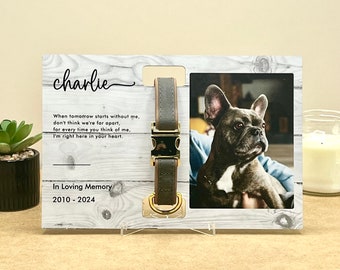 Custom Pet Memorial Dog Collar Holder, Dog Loss Memorial Frame, Rainbow Bridge Sympathy Gift, Pet Keepsake, In Loving Memory frame