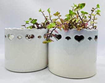 May include: Two white ceramic planters with heart-shaped cutouts and scalloped rims, each filled with trailing green and purple plants. The planters have a gradient effect, transitioning from white to a light blue-gray at the top.