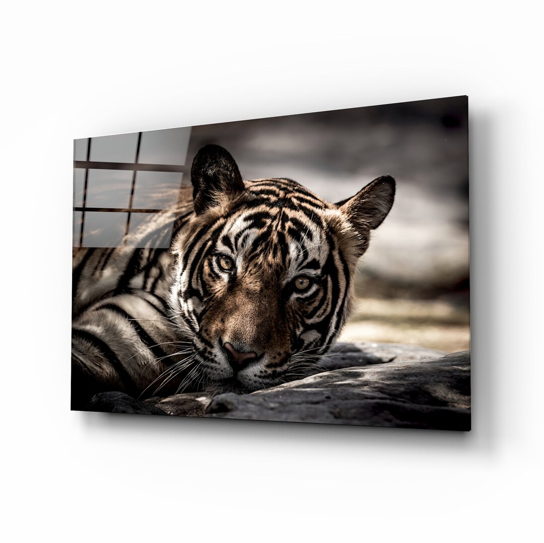 Tiger Glass Wall Art Etsy