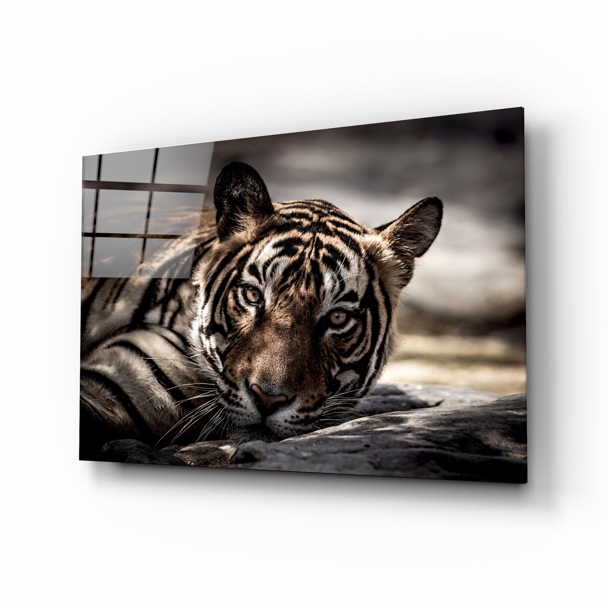 Tiger Glass Wall Art Etsy