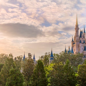 Kasteel op de Heuvel - Cinderella Castle Digital Download Print Ready