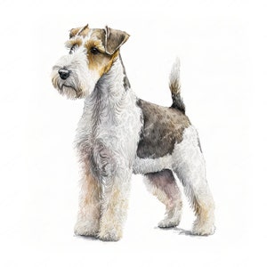 May include: A watercolour painting of a wirehaired fox terrier standing on a white background. The dog is white with brown markings and has a long, bushy tail.