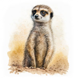 Suricata Clipart, Hermosa imagen de acuarela, Descarga digital instantánea, JPEG JPG de alta calidad, Sublimación, Arte de pared, Uso comercial