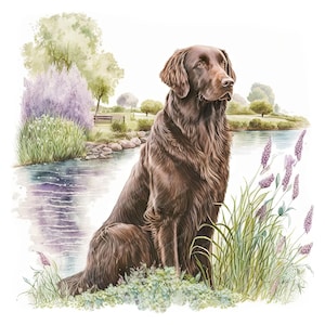 Puede incluir: Un perro Flat-Coated Retriever marrón se sienta junto a un lago, mirando hacia la derecha. El perro está rodeado de hierba verde y flores moradas. El lago está en el fondo, con árboles verdes al otro lado.