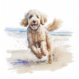 Labradoodle Dog Clipart, Imagen de playa de acuarela, Descarga digital instantánea, JPEG JPG de alta calidad, Sublimación, Arte de pared, Uso comercial