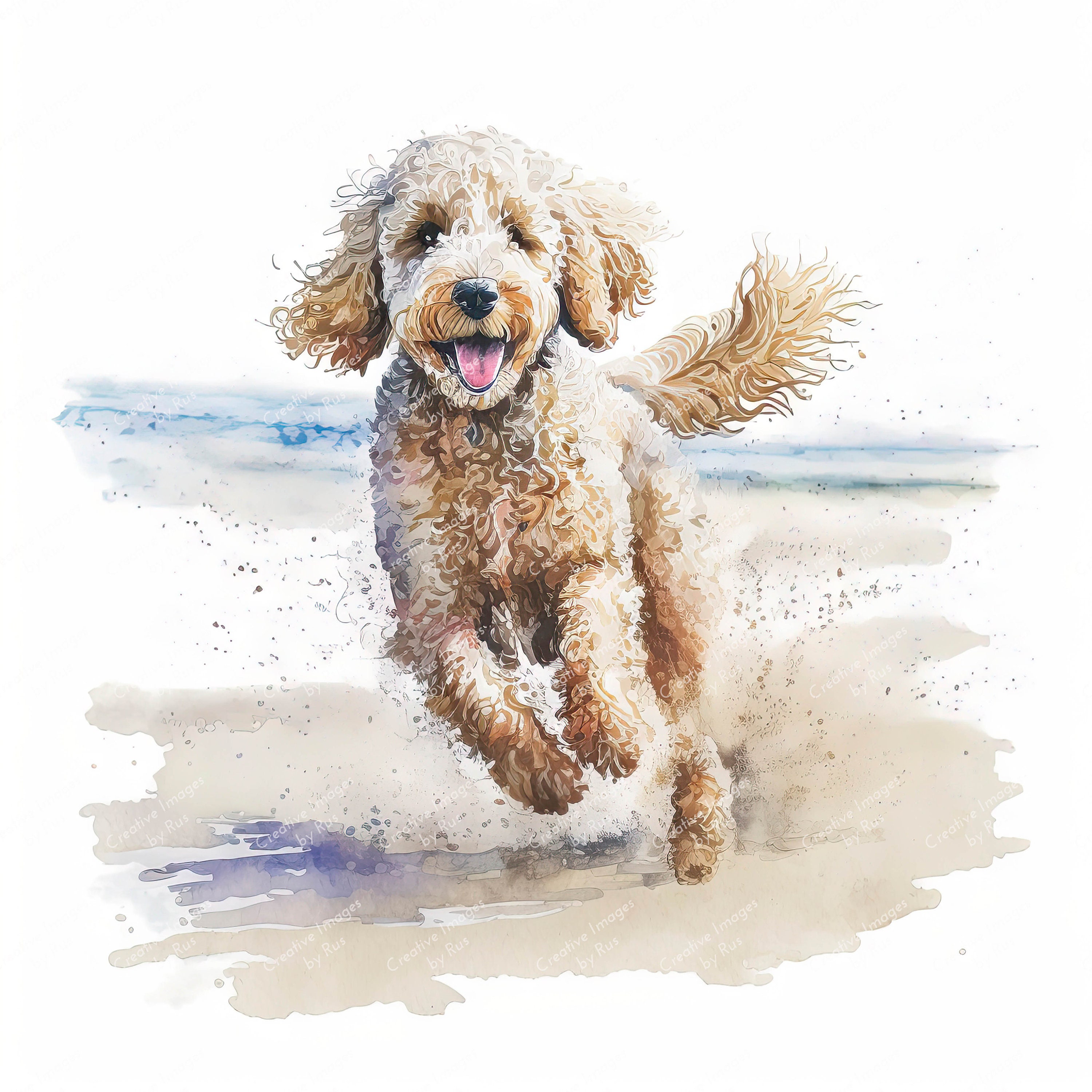 Labradoodle Dog Clipart Watercolour Beach Image Instant