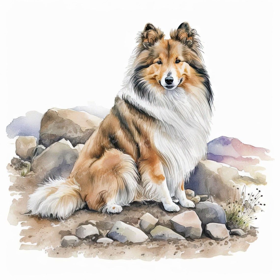 Shetland Sheepdog Clipart Watercolour Dog Image Instant Digital shetland-sheepdog-clipart-watercolour-dog-image-instant-digital