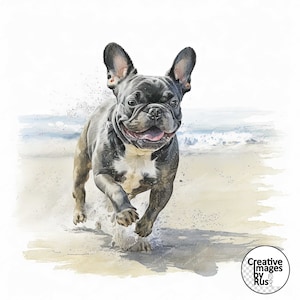 Clipart de cachorro de praia de buldogue francês, imagem em aquarela, download digital instantâneo, JPEG JPG de alta qualidade, sublimação, arte de parede, uso comercial